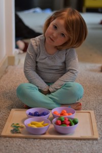 Nora serving up a platter of "pies" for us to enjoy. She's in the middle of transitioning from naps to no naps, so this is how she entertained herself during her quiet time. 